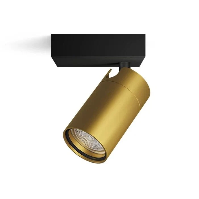 Philips opbouwspot Idris messing