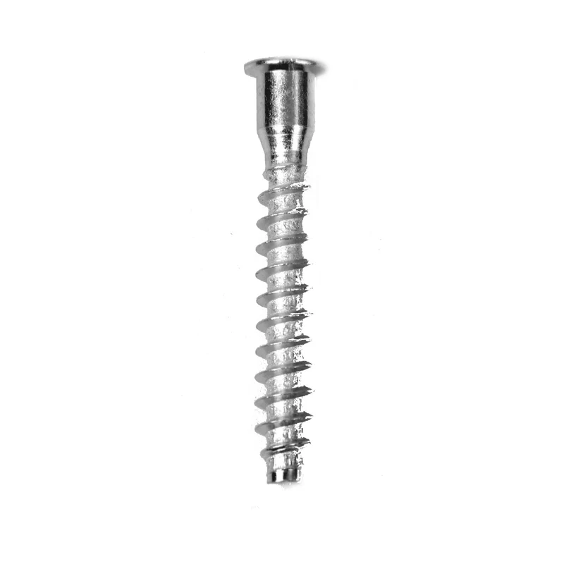 Deltafix verbindingschroef inbus platkop 7x50mm