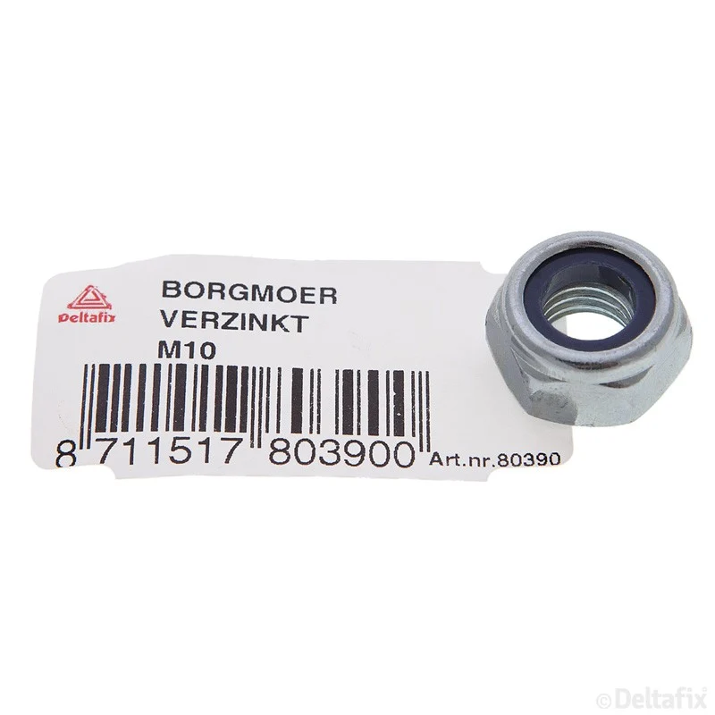 Deltafix borgmoer verzinkt staal M10