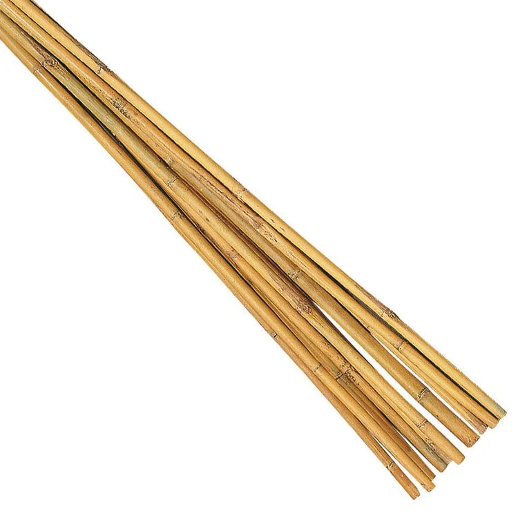 Talen bamboestok 180cm 3st