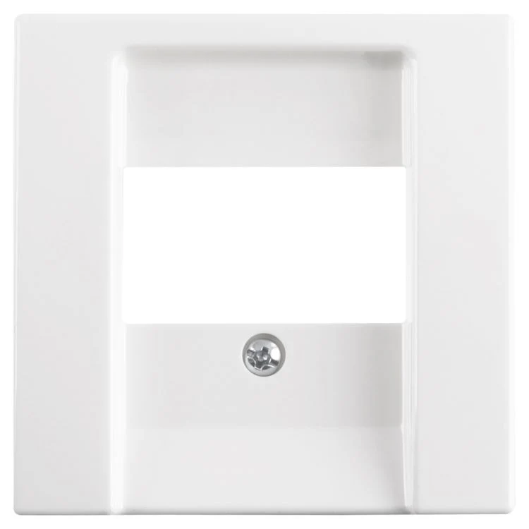 Busch-Jaeger Balance centraalplaat TAE/USB polarwit