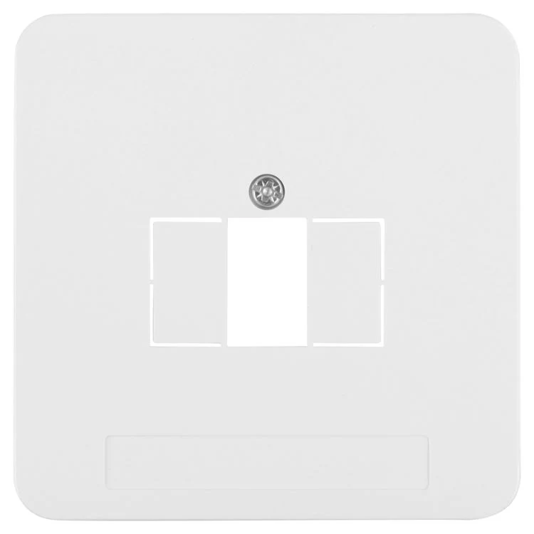 PeHa Standard centraalplaat TAE/USB polarwit