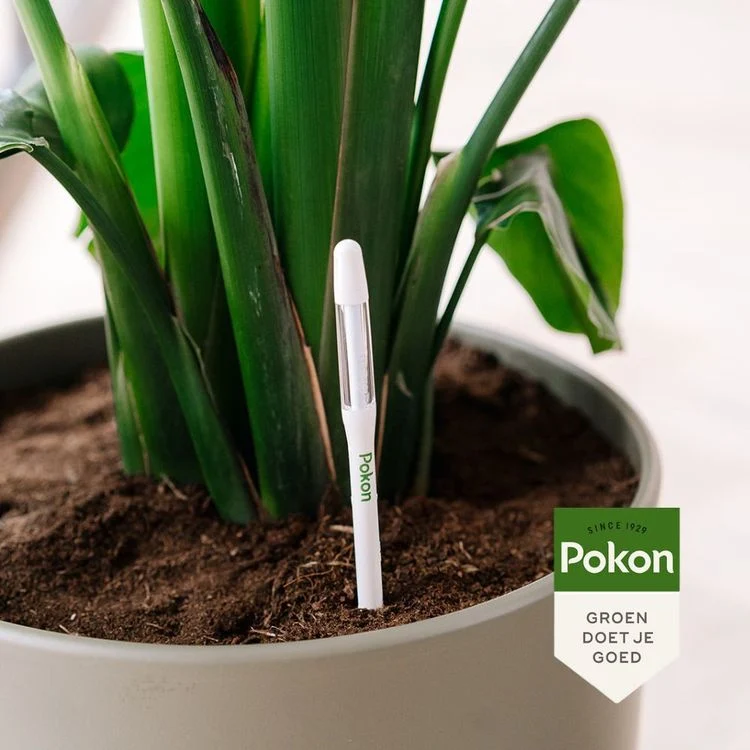 Pokon Mijn kamerplanten watermeter