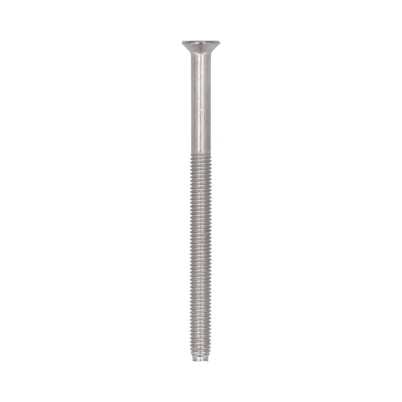 Handig cilinderschroef kruiskop platkop M5x70mm