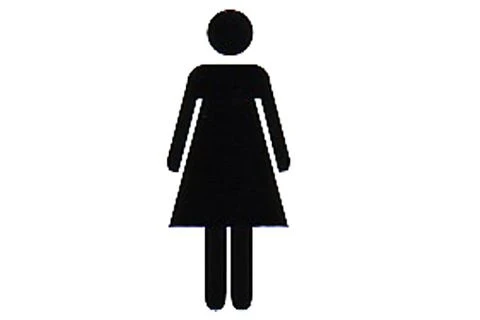 Pickup pictogram damestoilet 100x100mm