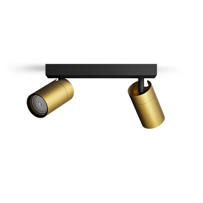 Philips opbouwspot Idris messing 2-lichts