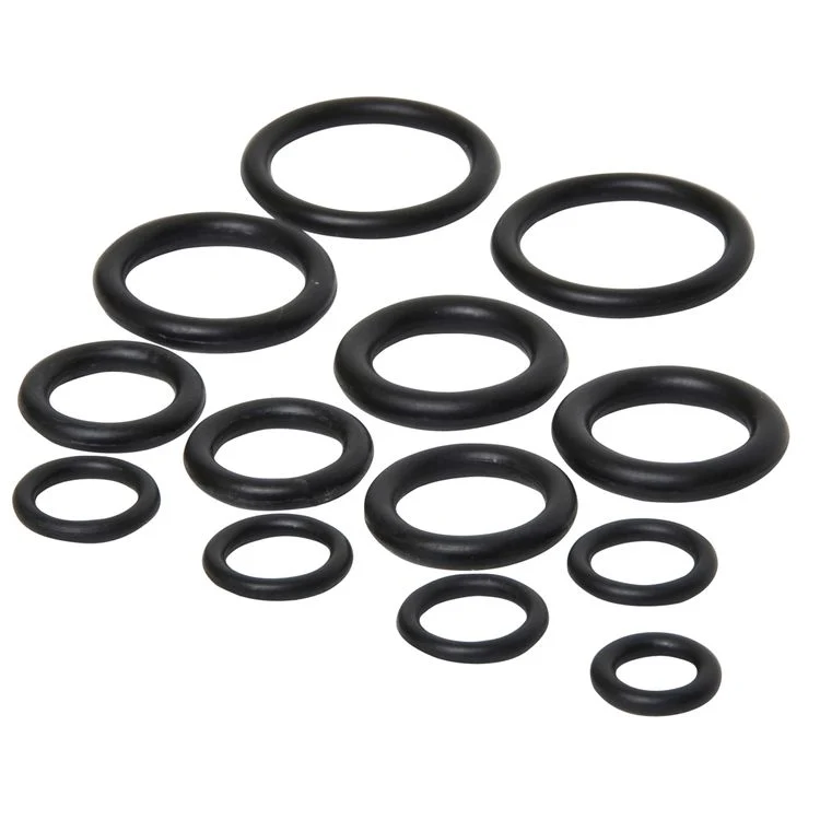 Sanivesk o-ringen kunststof, rubber 12st