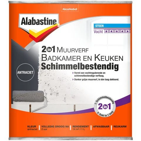 Alabastine 2in1 muurverf mat antraciet 1L