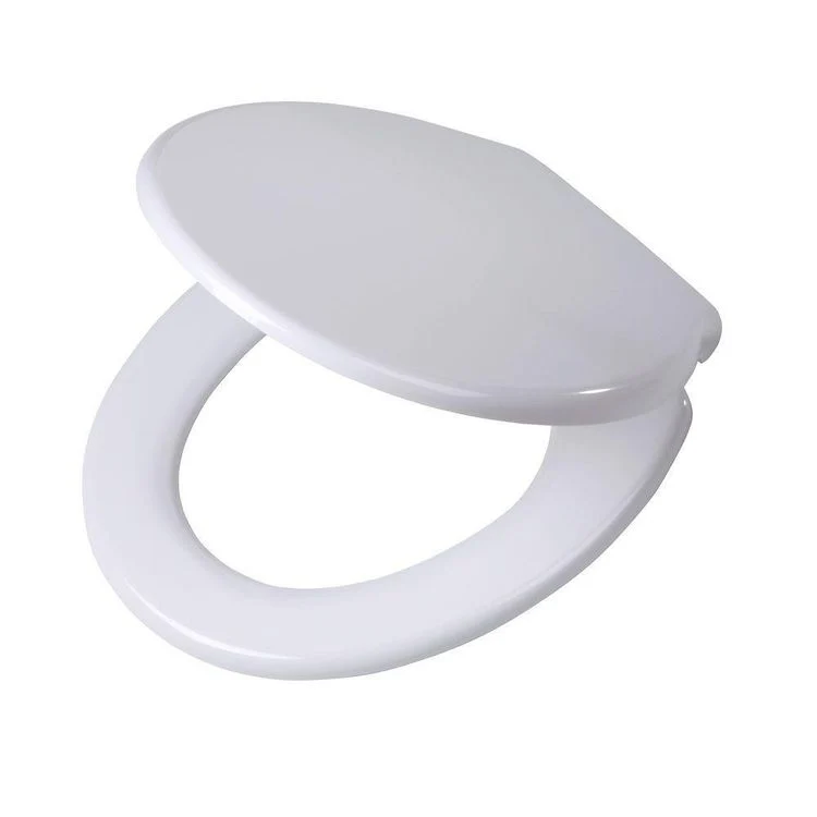 Tiger Burton WC-bril duroplast, rvs wit met softclose