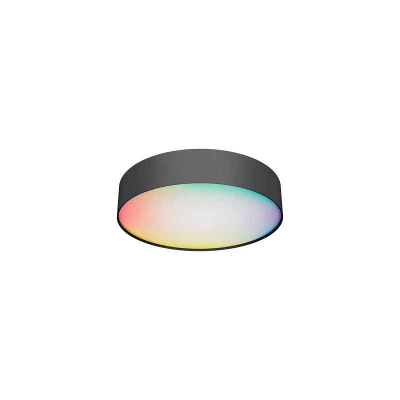 Calex Slimme Plafondlamp - Ø30cm - Zwart