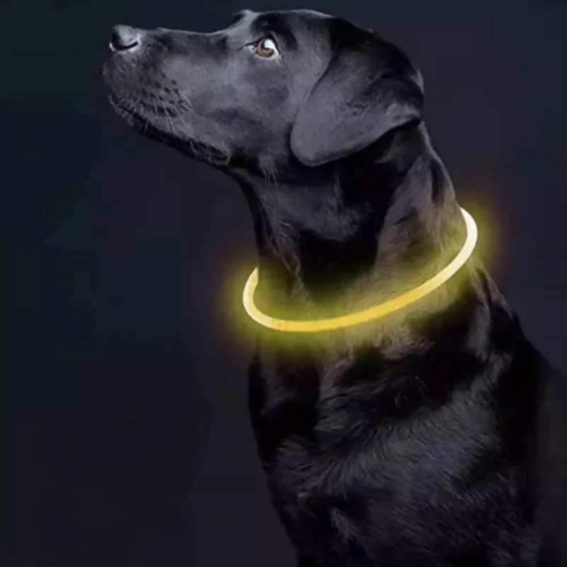 Purlov LED Lichtgevende Halsband - Veiligheid en Zichtbaarheid voor Uw Huisdier